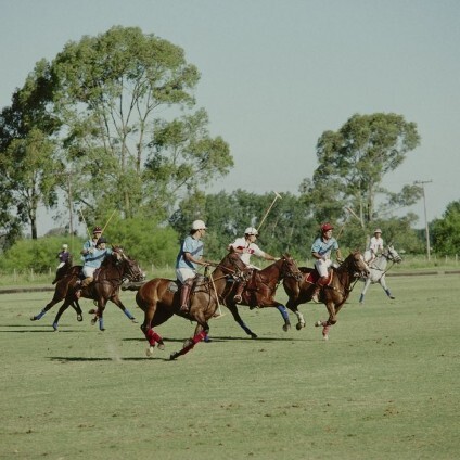 Equestrian