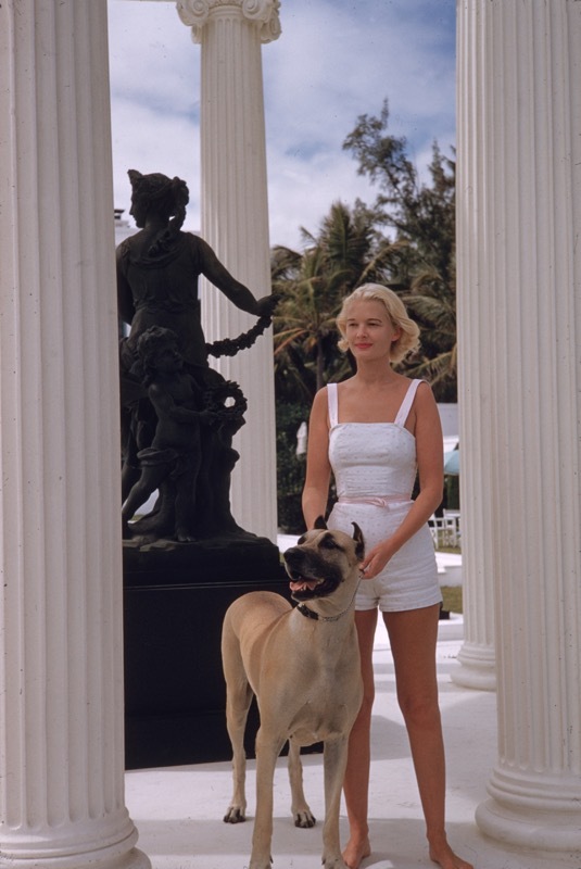 CZ Guest and Dog