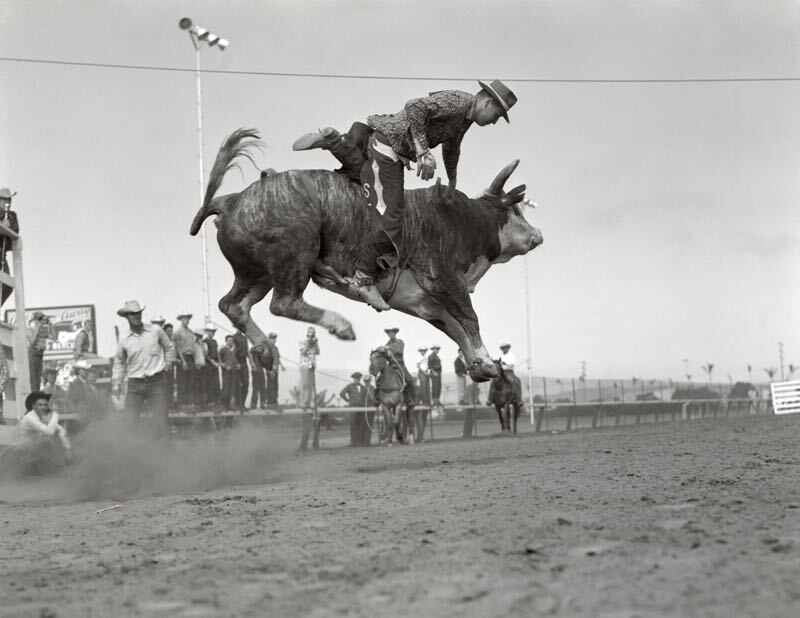 Rodeo