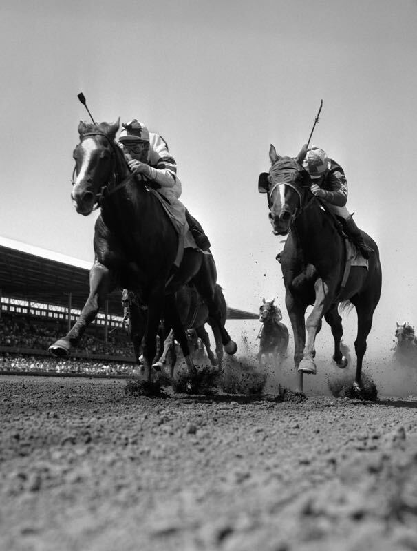 Horse Race