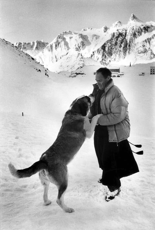 St Bernard
