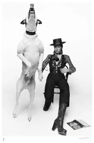 David Bowie Diamond Dogs Signed