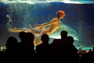 Moulin Rouge Mermaid