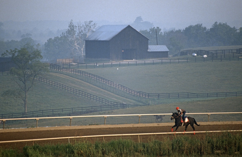 Racehorse Exercise