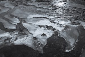 Floating Ice Sculptures