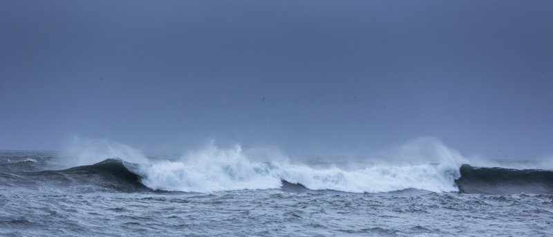 Waves