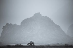 Dawn Mist