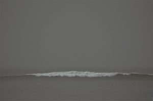 Grey Wave
