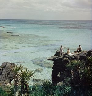 A Nice Spot For Lunch