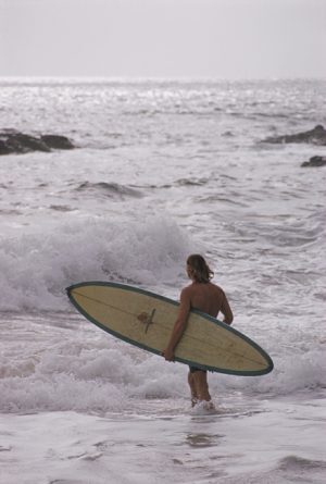 Laguna Beach Surfers