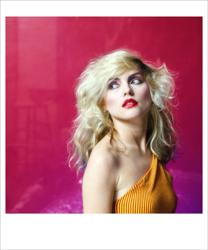 Pink Debbie Harry