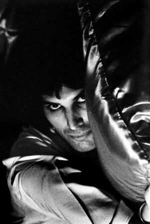 Freddie Mercury
