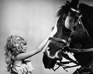 Brigitte Bardot