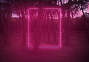 Neon Forest