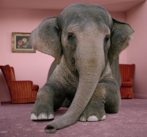 Surreal Elephant
