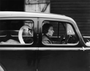 Swan In A Car