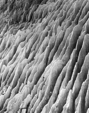 Ridges