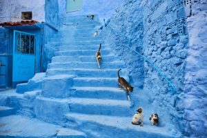Chefchaouen The Blue City