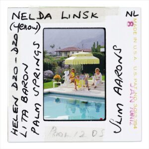 Nelda And Friends Slide