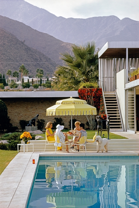 Poolside Friendship