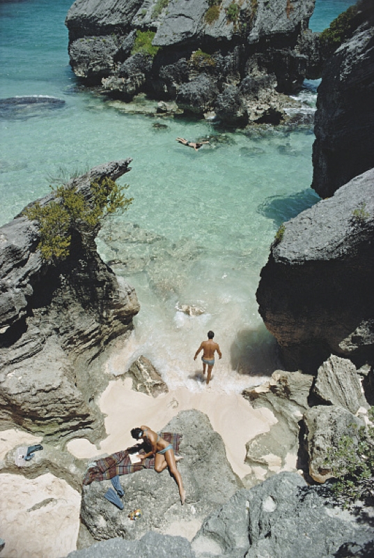 Bermuda Paradise