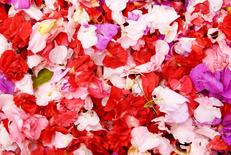 Petals
