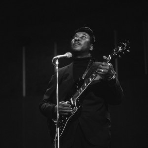 Muddy Waters