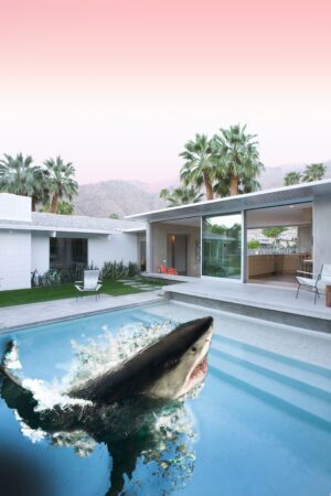 Shark Pool