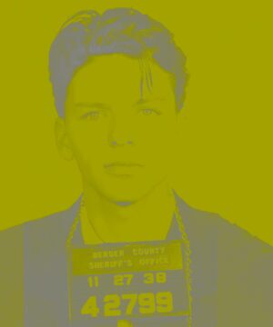 Screen Print Idol