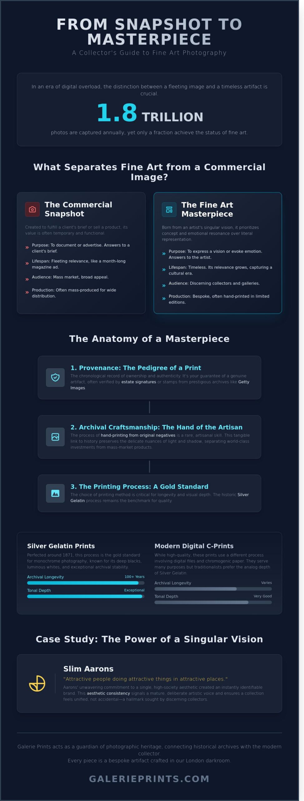 Fine Art Photography: A Curator’s Guide to Collecting and Decorating - Infographic
