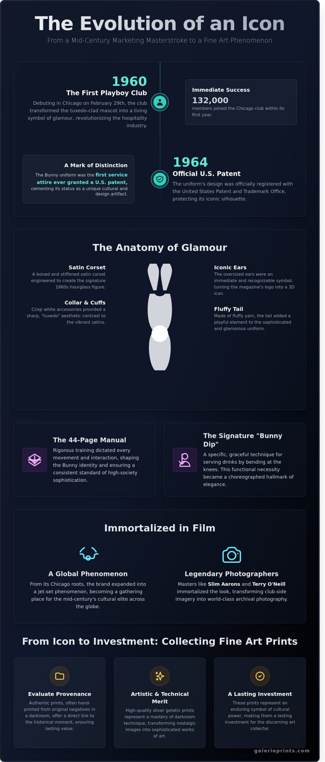 The Playboy Bunny: A Curatorial History of a Global Cultural Icon - Infographic