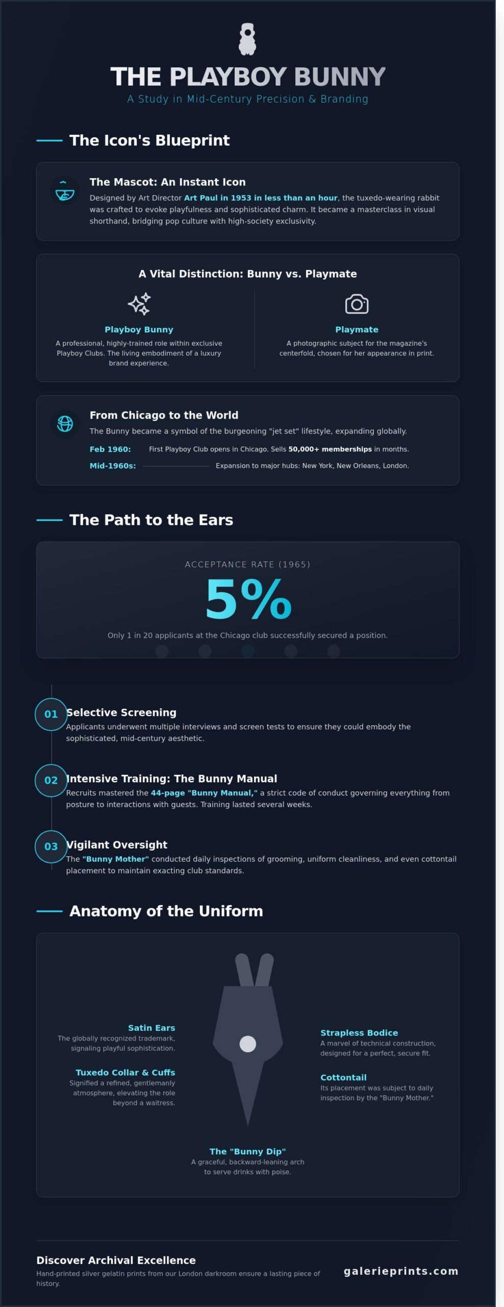 The Playboy Bunny: Evolution of a Mid-Century Photographic Icon - Infographic