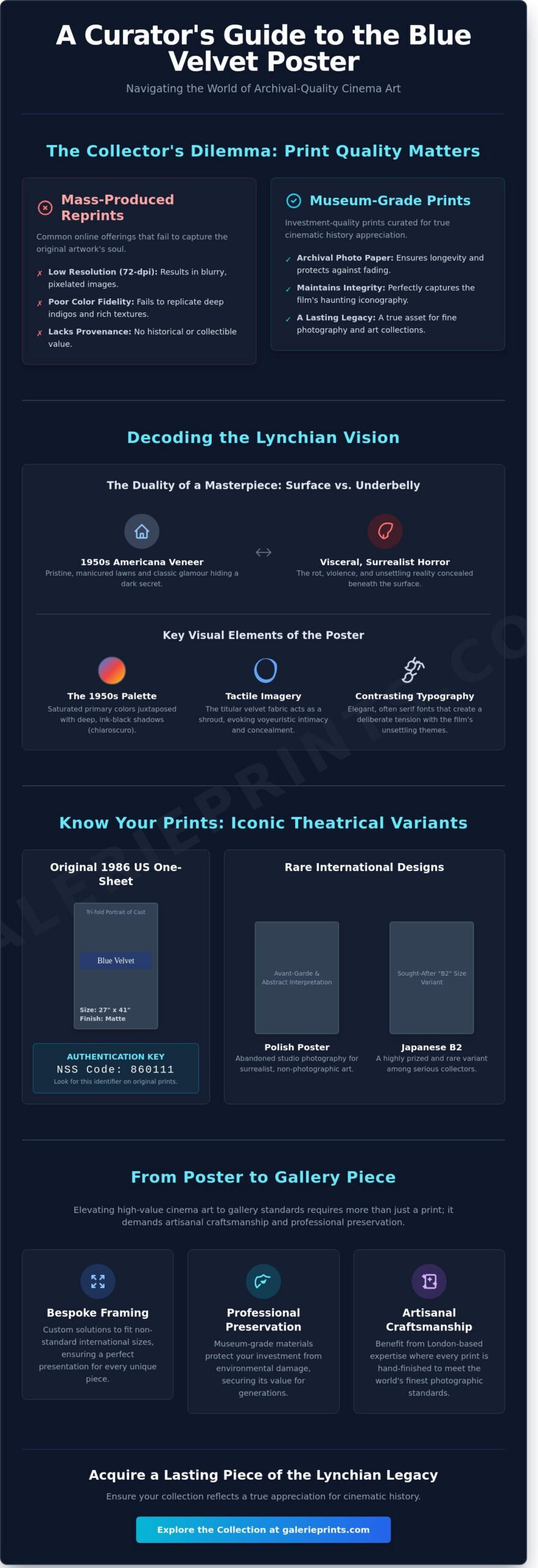 The Art of the Blue Velvet Movie Poster: A Curator’s Guide to Lynchian Iconography - Infographic