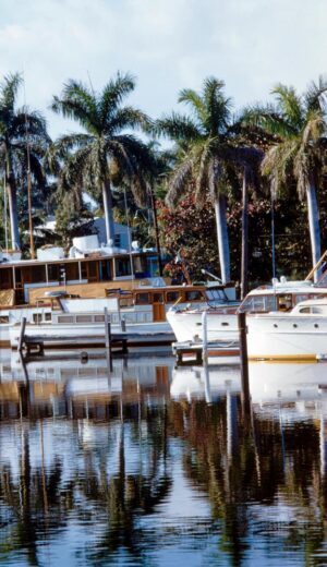 Yachts In The Harbour