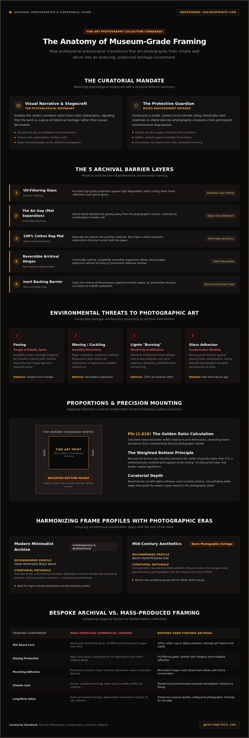 The Curator’s Guide to Framing Fine Art Photography - Infographic