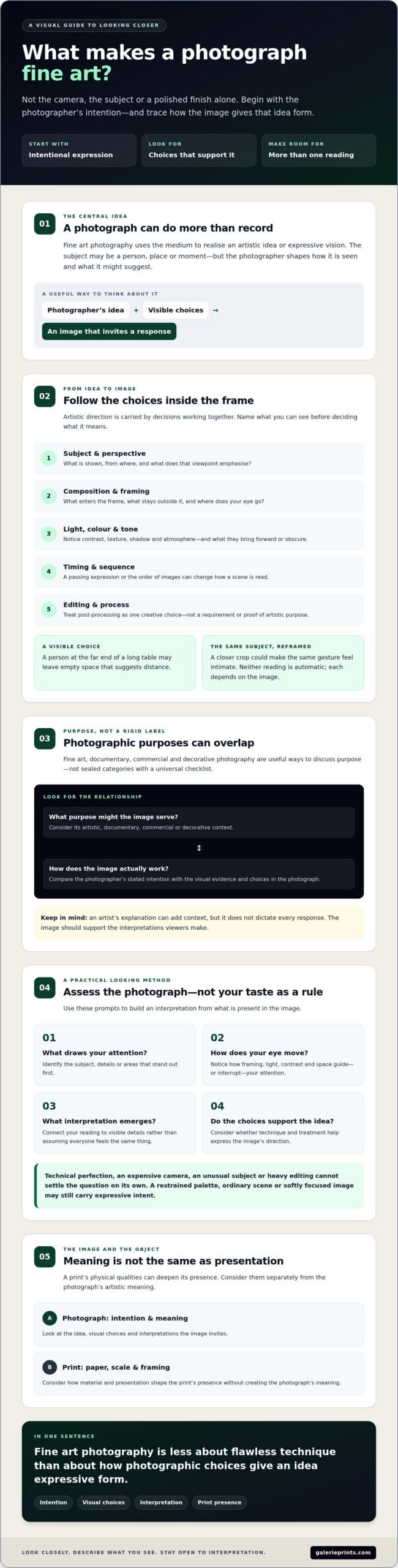 What Makes a Photograph Fine Art? A Curator’s Guide - Infographic