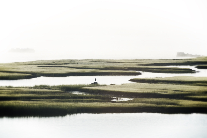 Massachusetts Mist