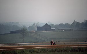Early Morning Race Horse Training
