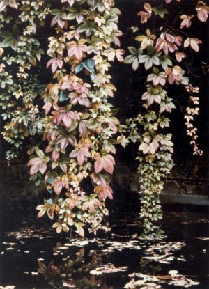  Autumnal Fall