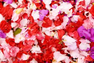 Petals