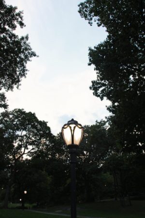 Light Symphony