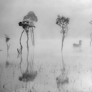 Landscapes & Seascapes