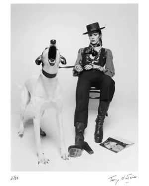 David Bowie Diamond Dog II Signed