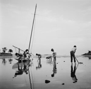 Digging For Clams