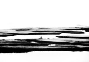 Massachusetts Mist II
