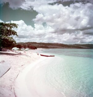 Jamaican Shoreline