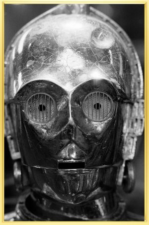Supergiant C3PO Framed in Gold