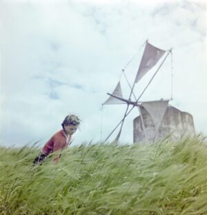 A Windmill In Portugal